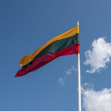 У Литві прийняли закон про контроль над зброєю та боєприпасами