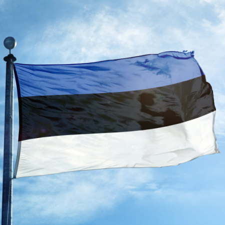 Естонія передасть новий пакет військової допомоги для України