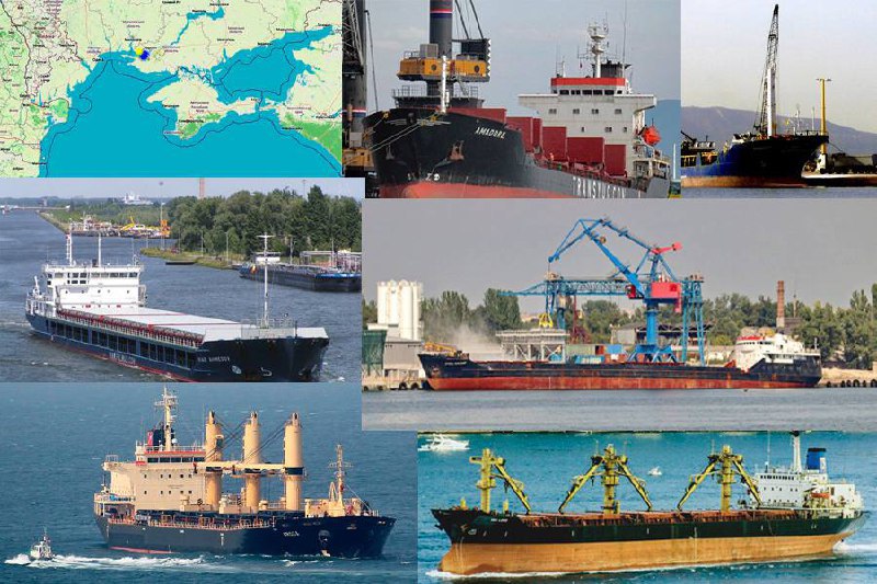 У Херсонському морському порту заблоковані 14 комерційних суден, що приймали українські експортні вантажі або перебували на ремонті