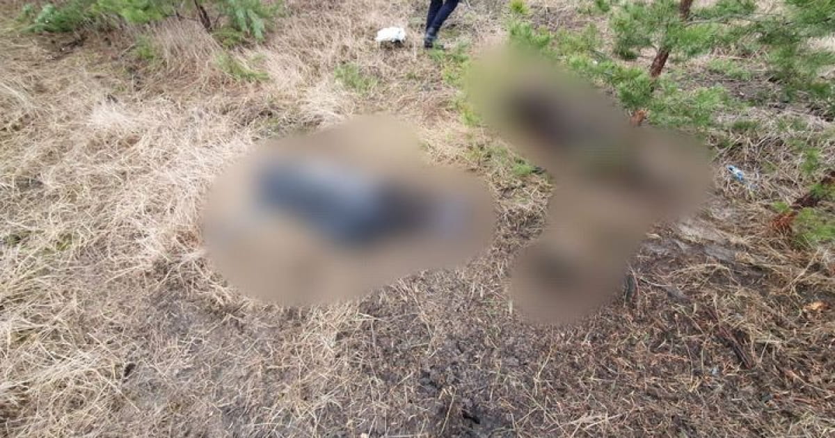 На Харківщині виявили тіла загиблого подружжя, яке підірвалося на розтяжці