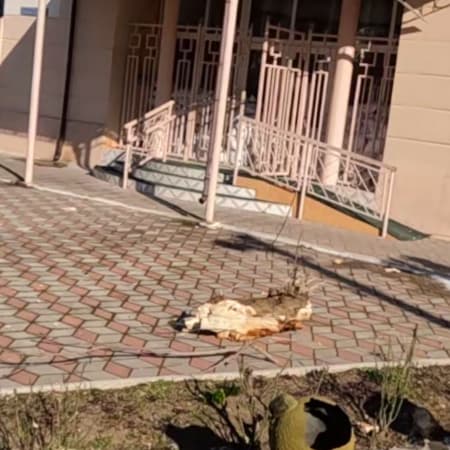 Russians shell Kherson city centre, and one person dies