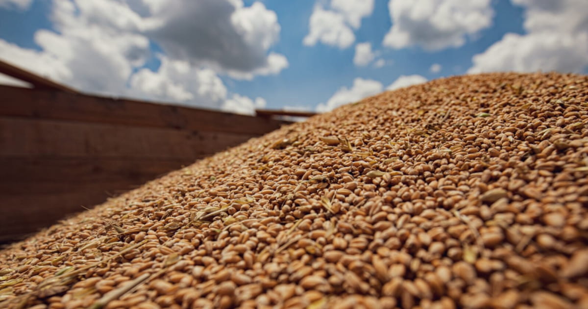 Russia is allegedly ready to extend the 'grain agreement' but only for 60 days