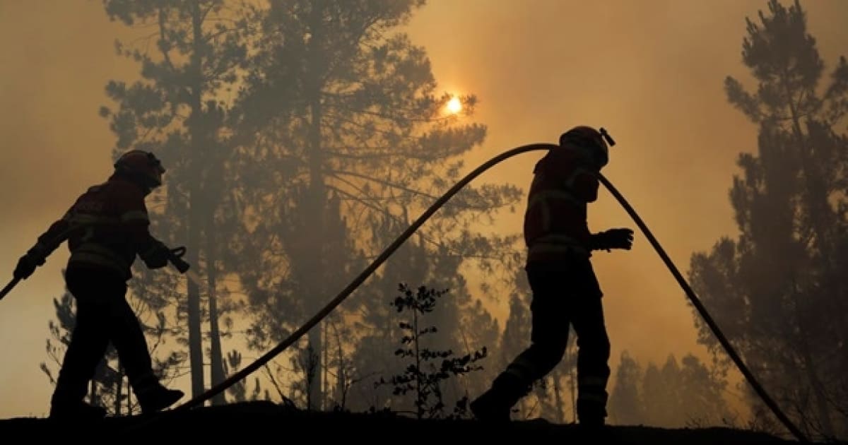 На півдні Європи через аномальну спеку поширюються лісові пожежі