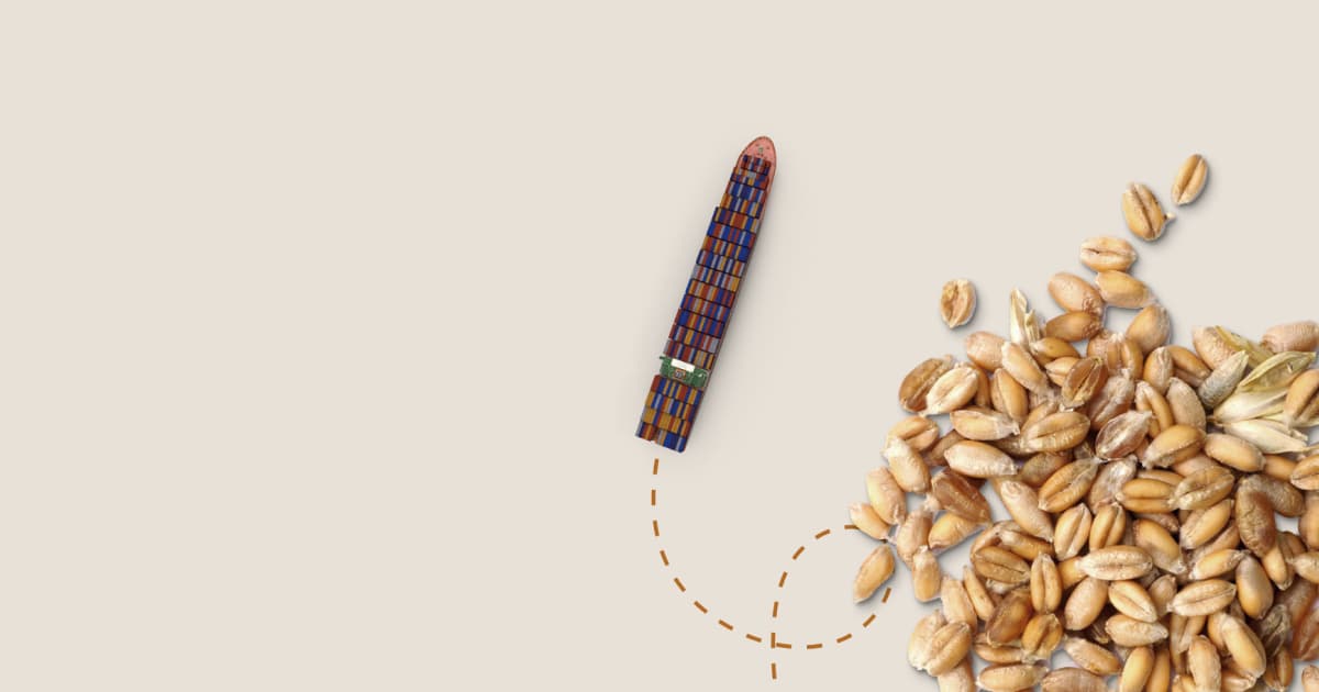 Вивіз зерна: скільки експортувала Україна 30 березня – 4 квітня