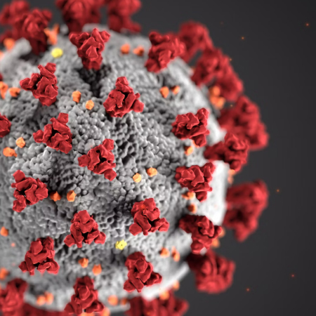 Всесвітня організація охорони здоровʼя cкасувала статус пандемії через коронавірусну інфекцію COVID-19