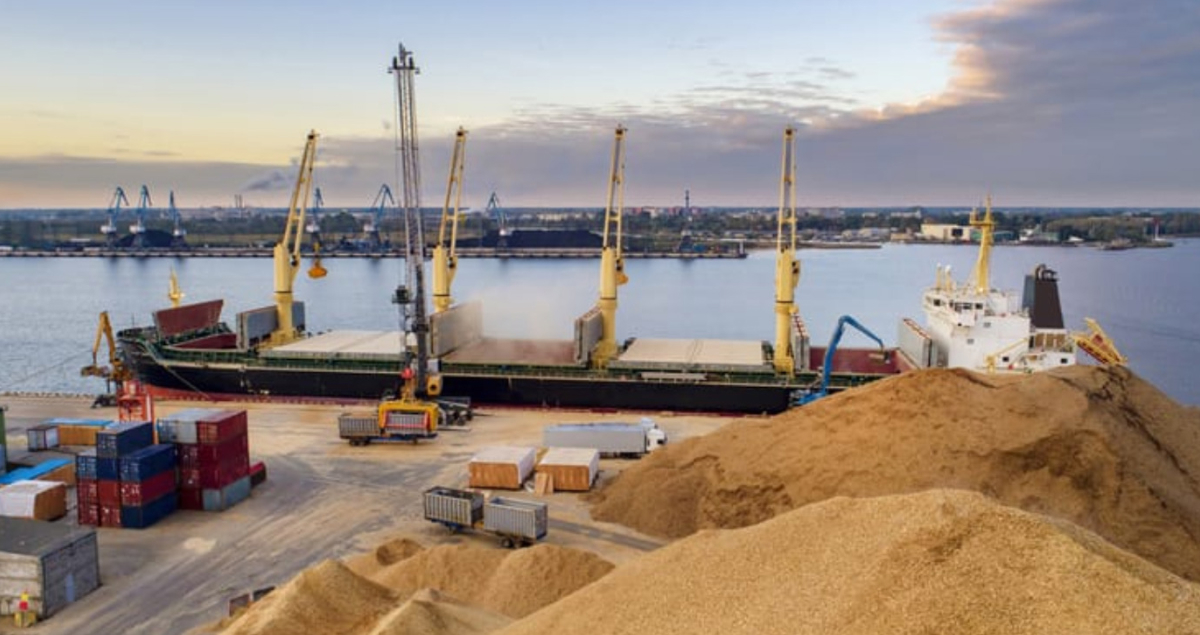 Russia blocks the work of the "grain initiative" again