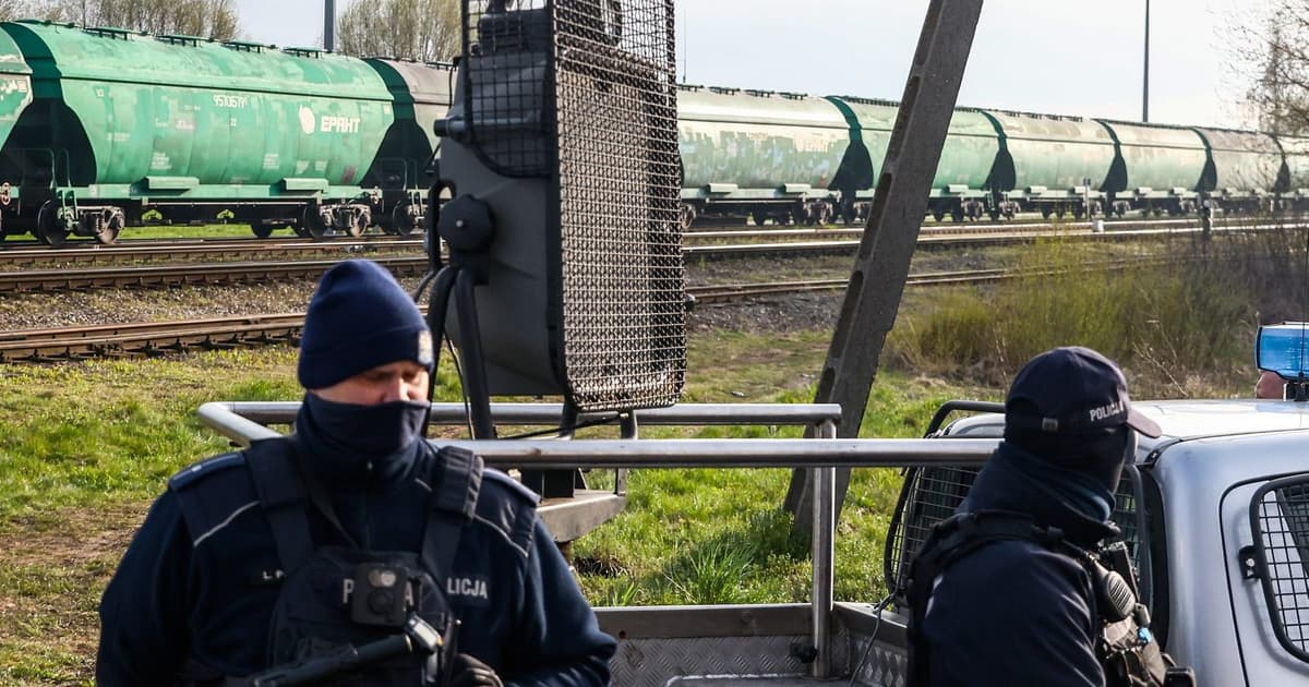 У Польщі правоохоронці викрили схему шахрайства з імпортом українського зерна під виглядом «технічного»