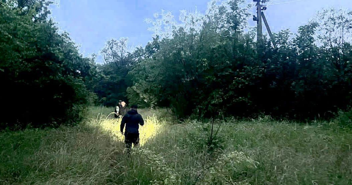 На Івано-Франківщині поліція затримала чоловіка, який підозрюється в зґвалтуванні та вбивстві дев'ятирічної дівчинки