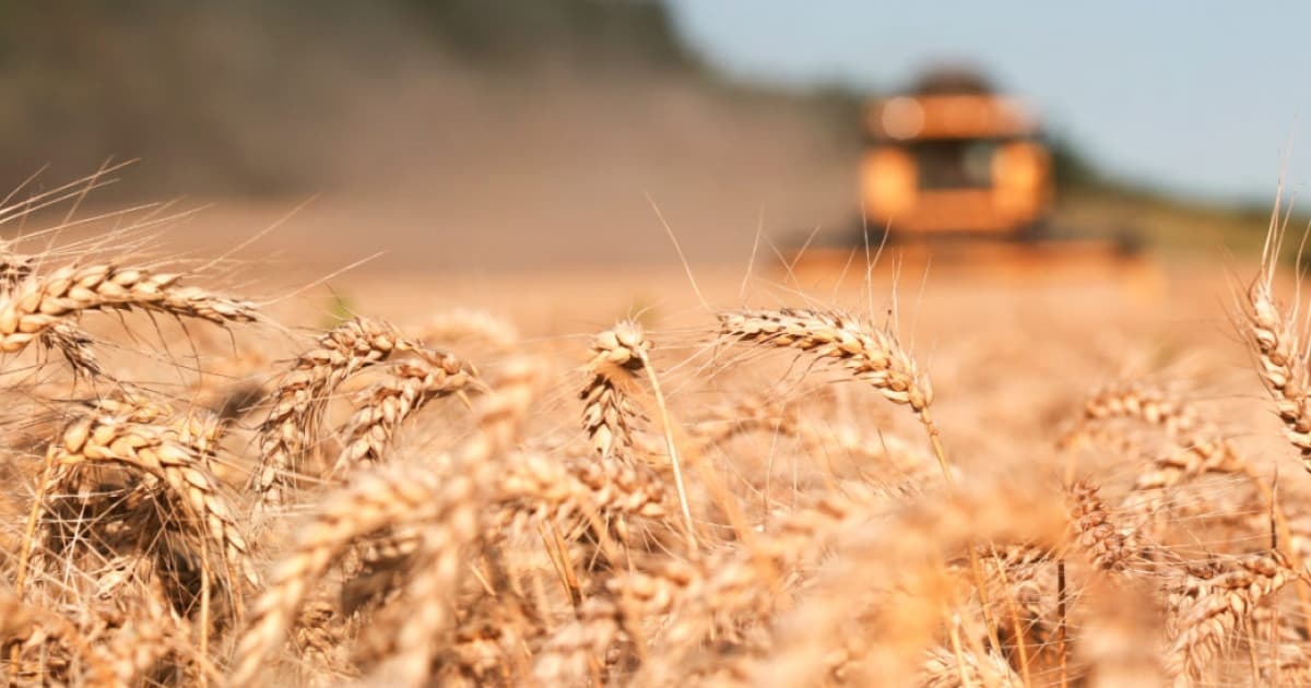 США відслідковуватимуть, чи буде Росія виконувати угоду щодо експорту зерна