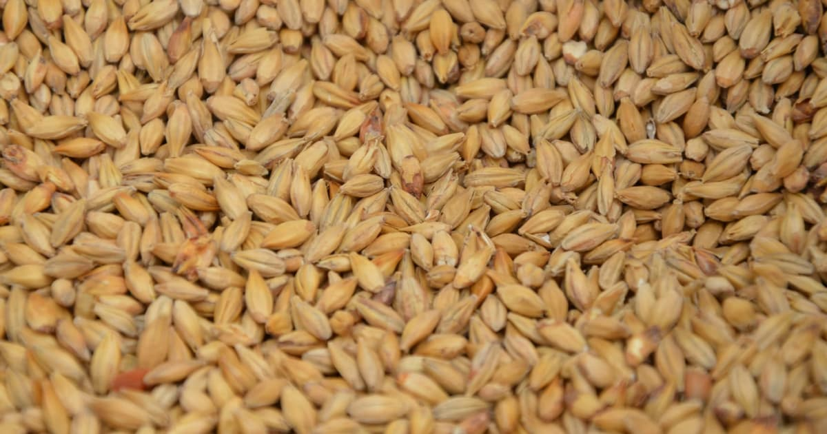Ціни на пшеницю впали