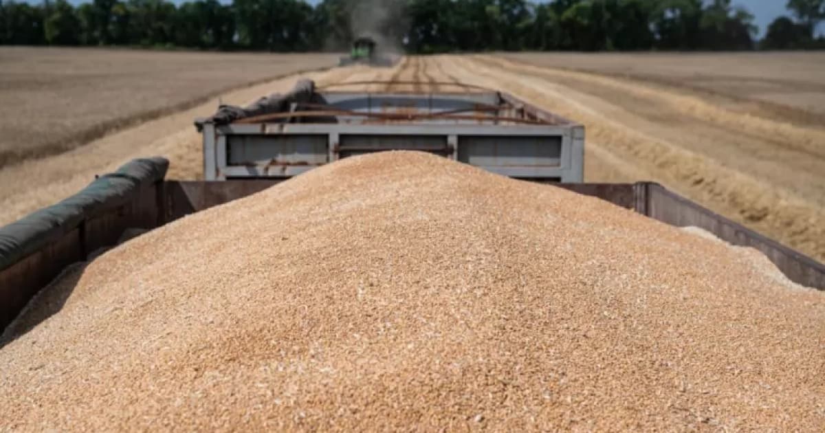 The only option to export Ukrainian grain is overland - representative of the US NSC