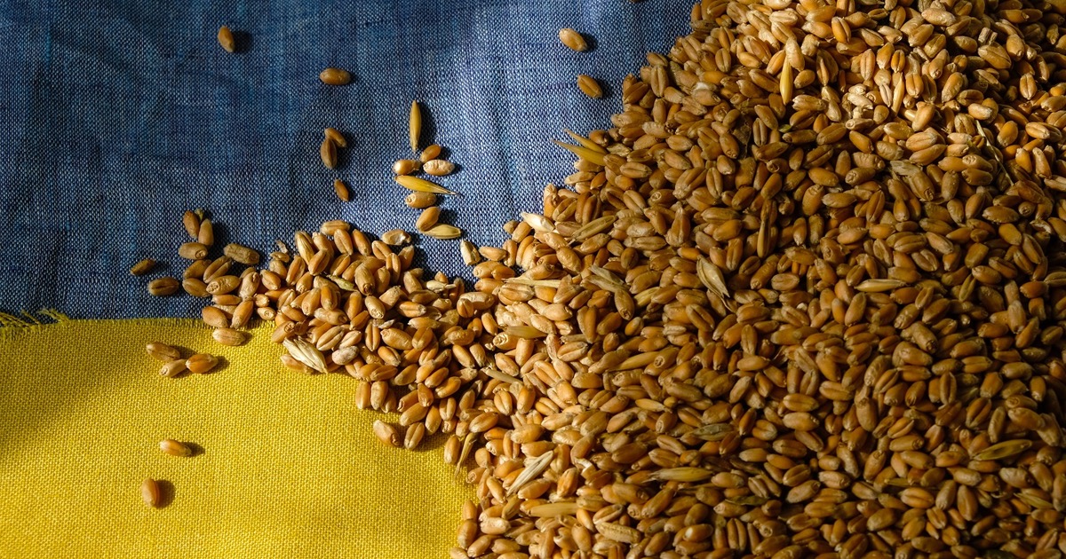 ЄС продовжить допомагати Україні експортувати зерно