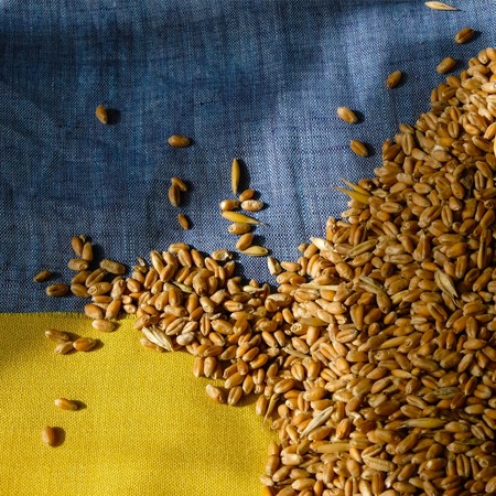 EU to continue helping Ukraine export grain