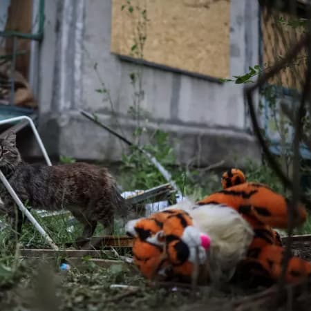 Внаслідок повномасштабного вторгнення РФ в Україні загинули 358 дітей