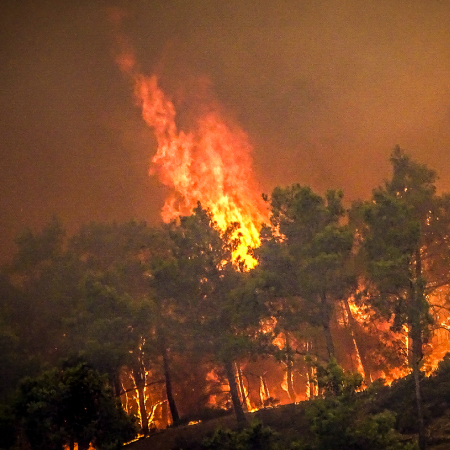 З острова Родос евакуювали 19 тисяч людей через лісові пожежі