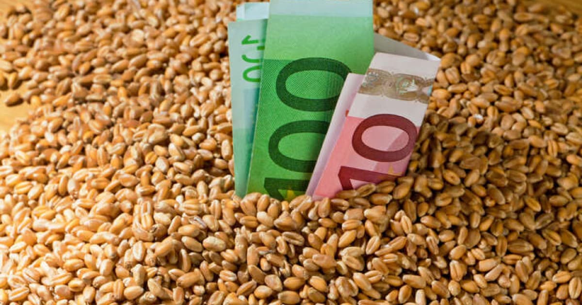 Світові ціни на пшеницю зросли після того, як Росія завдала ракетного удару по порту «Одеса»