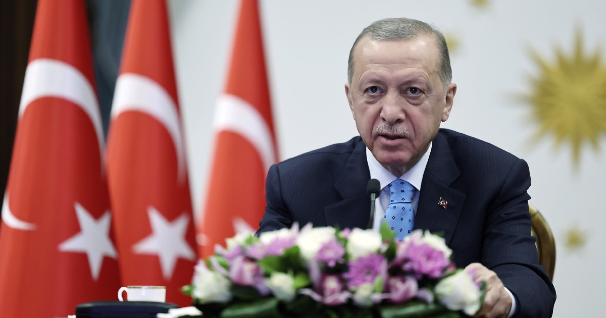 Президент Туреччини хоче розширити «зернову угоду»