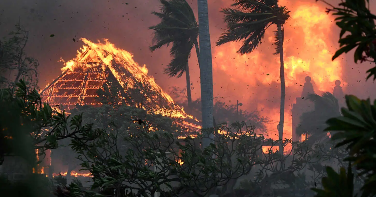 У США спалахнула лісова пожежа на гавайському острові Мауї — 36 людей загинуло
