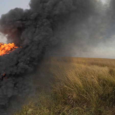 Пожежа, яка триває на острові Джарилгач на Херсонщині вже майже тиждень, знищила всю заповідну зону природного парку