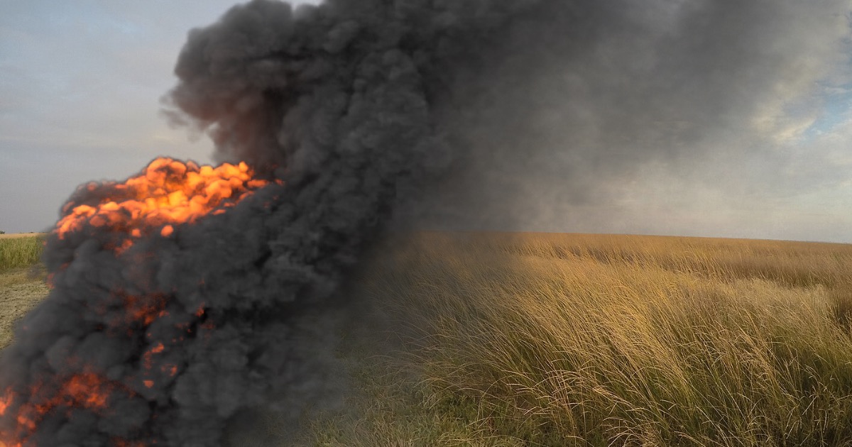 The fire on the Dzharylhach Island in the Kherson region destroys the entire protected area of the natural park