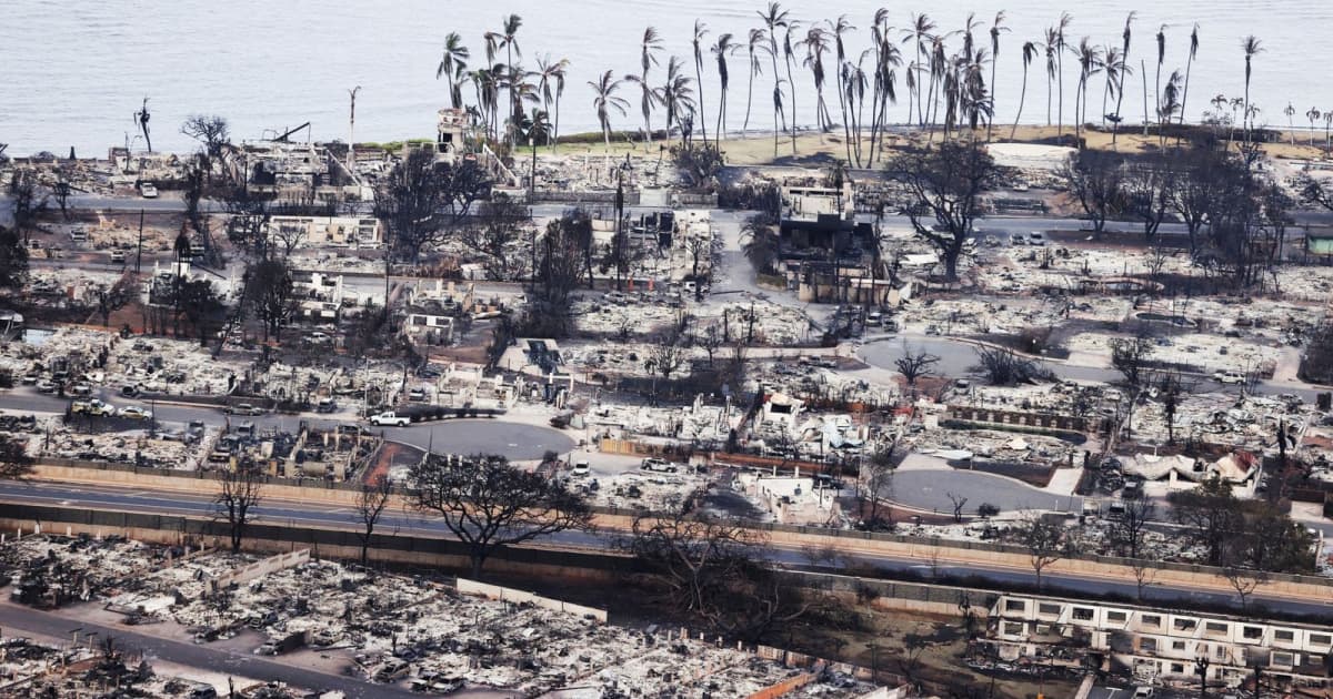 Large-scale forest fires continue in Hawaii