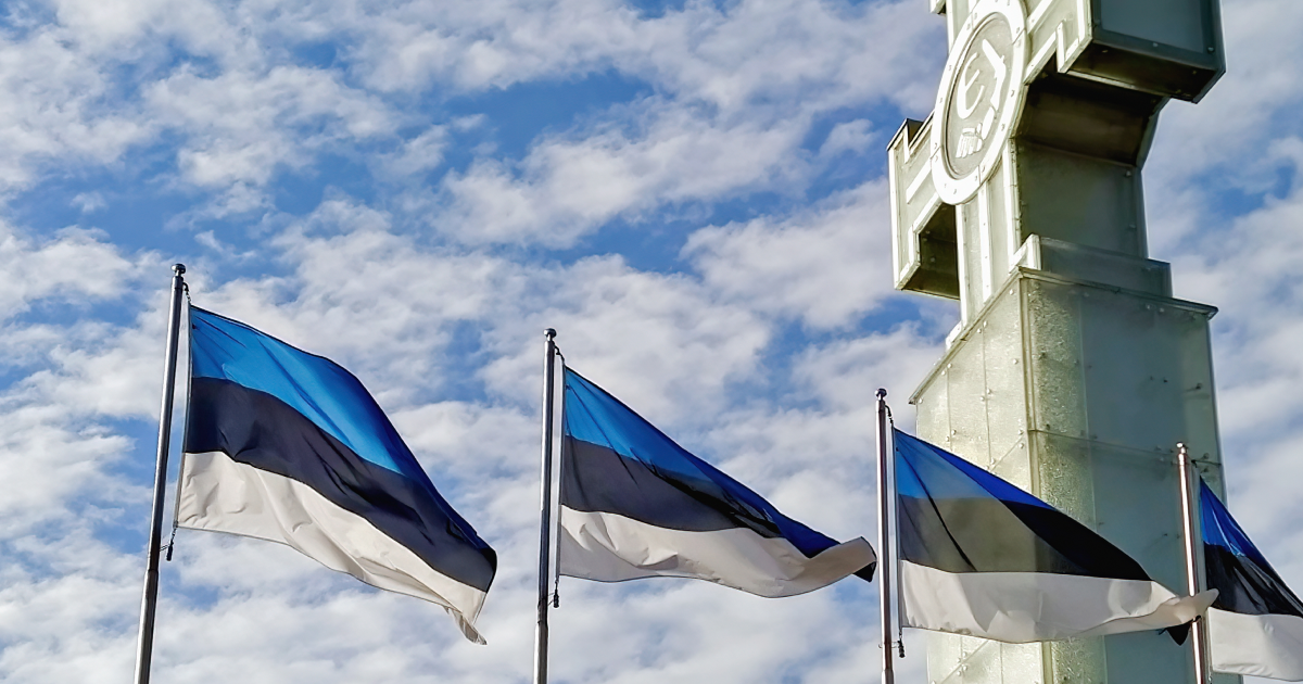 Естонія передасть стрілецьку зброю та боєприпаси Україні