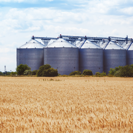 Румунія хоче збільшити транзит українського зерна з двох до чотирьох мільйонів тонн щомісяця