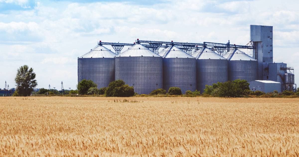 Romania wants to increase the transit of Ukrainian grain from 2 to 4 million tonnes per month
