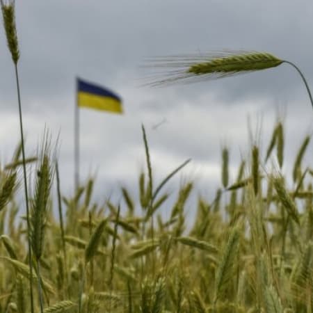 Латвія може долучитися до перевезення українського зерна