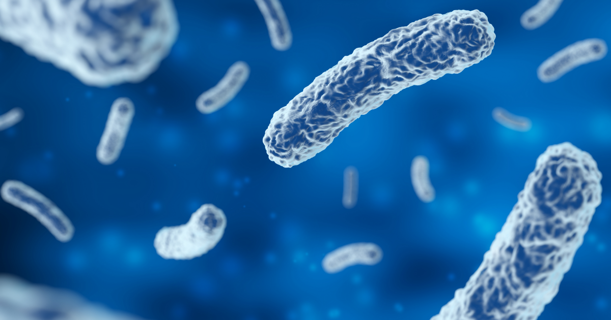Polish special services are investigating the origin of the infectious Legionnaires' disease in Podkarpackie Voivodeship