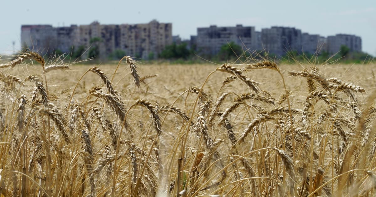 In 2022, Russia exported six million tonnes of grain from the temporarily occupied territories of Ukraine