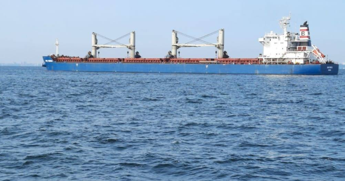 З порту «Південний» на Одещині вийшло ще два заблокованих судна
