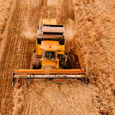 Reuters: Egypt buys nearly half a million tons of Russian wheat in private deal