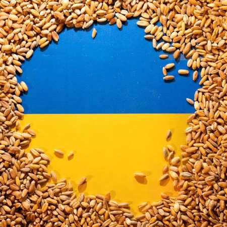 Угорщина домовилася з Румунією, Словаччиною та Болгарією щодо введення національного ембарго на імпорт українського зерна
