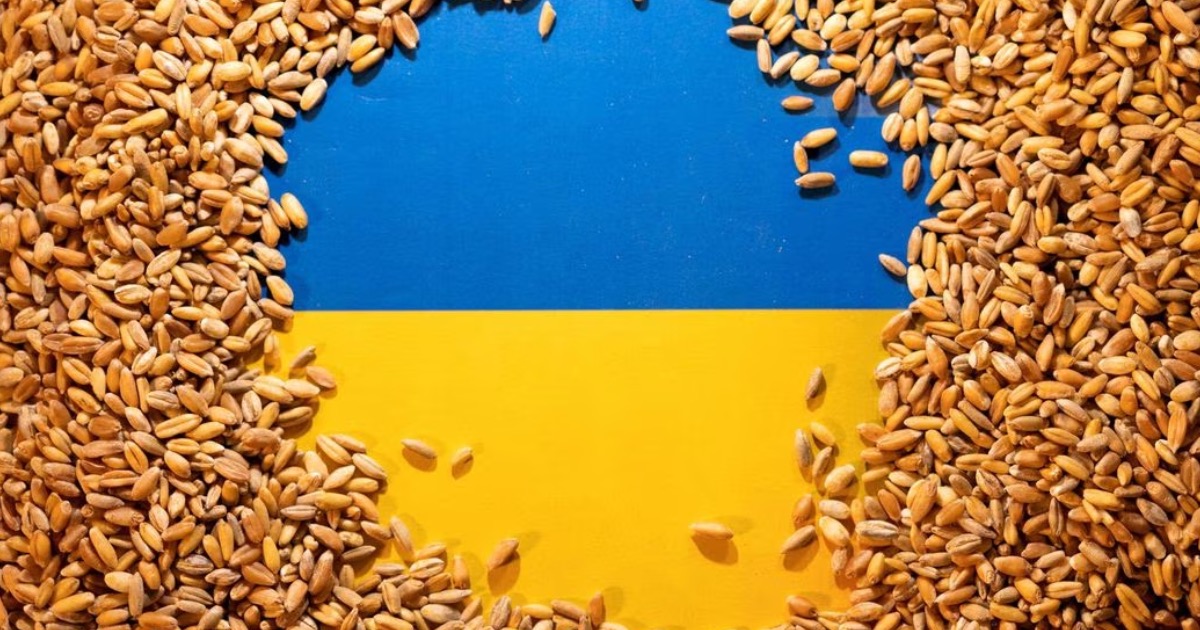 Hungary agrees to impose a national embargo on Ukrainian grain imports with Romania, Slovakia, and Bulgaria