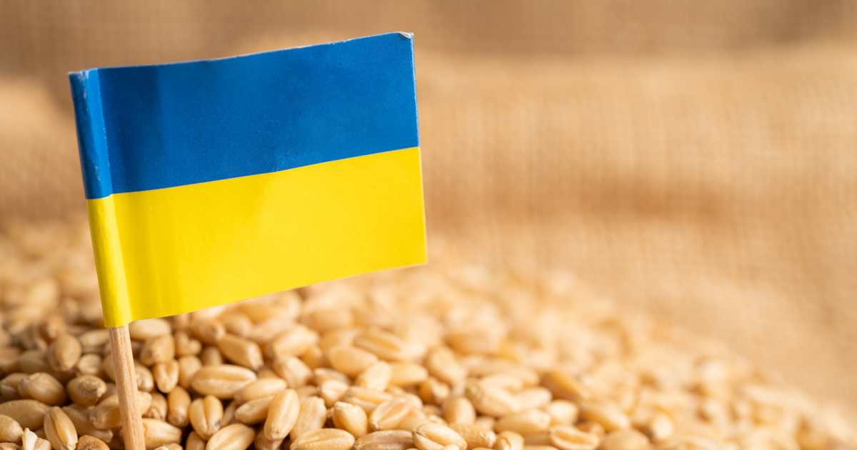 Bulgaria lifts ban on grain imports from Ukraine