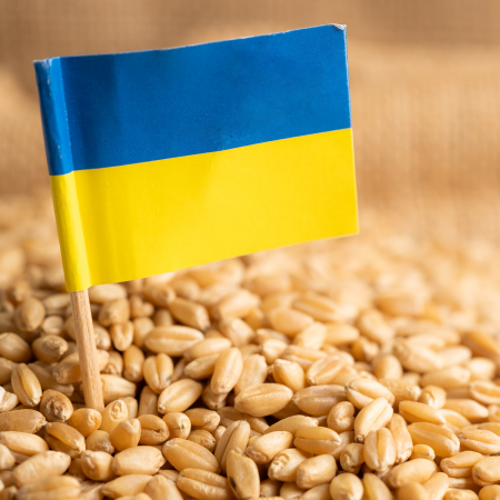 Bulgaria lifts ban on grain imports from Ukraine