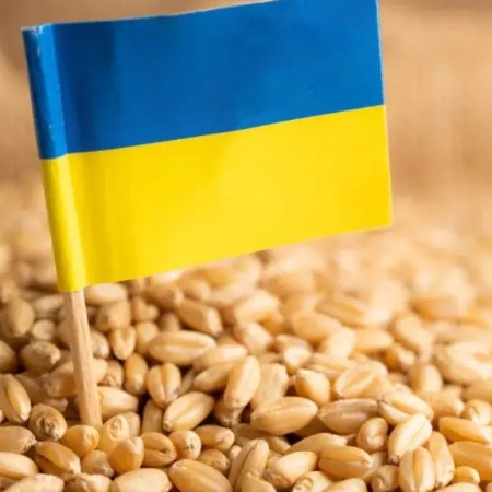 The European Commission has not extended the embargo on Ukrainian grain