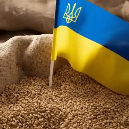 Франція та Іспанія розкритикували ембарго на імпорт українського зерна Польщі, Словаччини і Угорщини