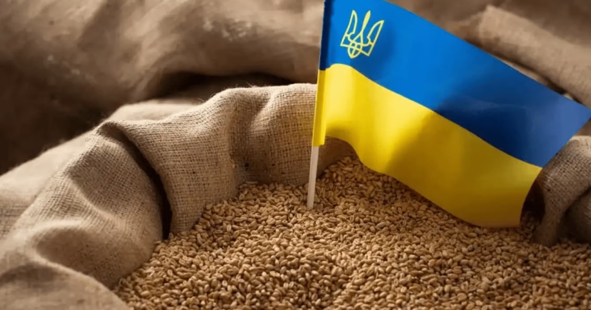 Франція та Іспанія розкритикували ембарго на імпорт українського зерна Польщі, Словаччини і Угорщини