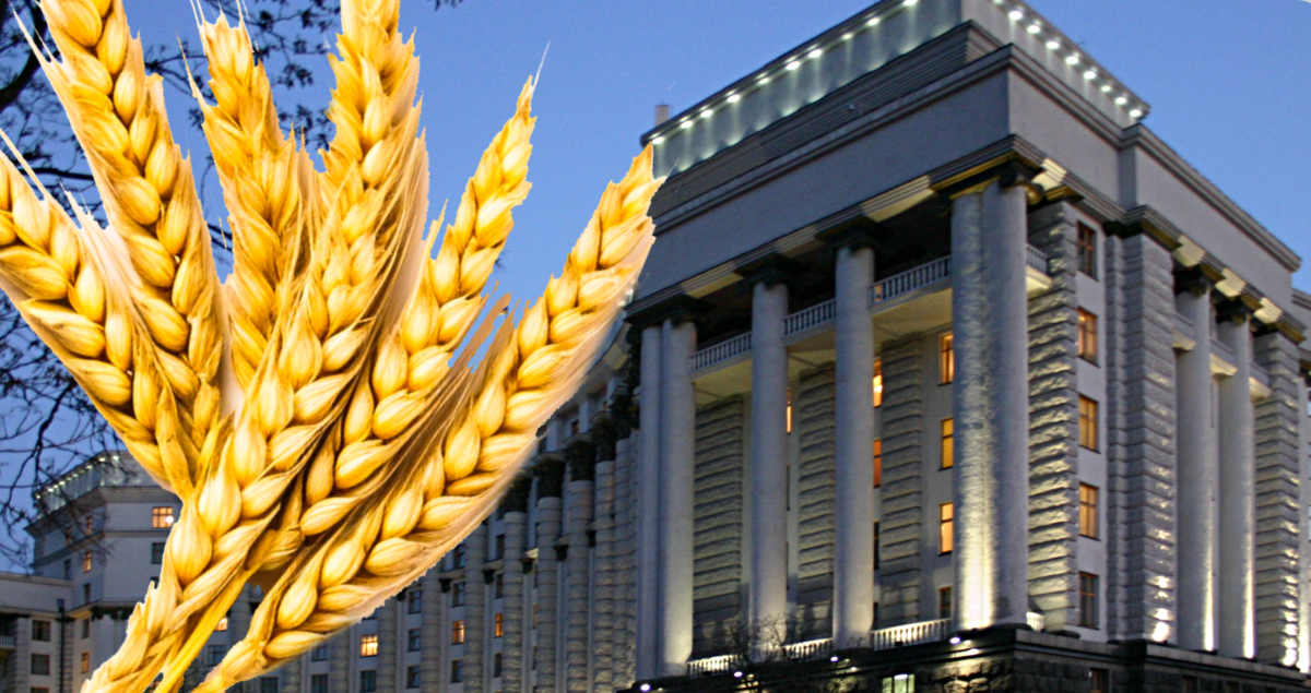 Ukraine introduces a new mechanism for exporting agricultural products to neighbouring countries