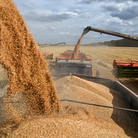 Lithuania opens Baltic corridor for transit of Ukrainian grain