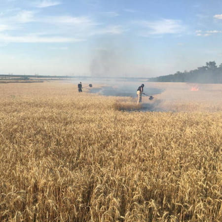 На Донеччині внаслідок російського обстрілу виникла пожежа на полі з пшеницею