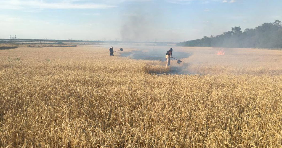 На Донеччині внаслідок російського обстрілу виникла пожежа на полі з пшеницею