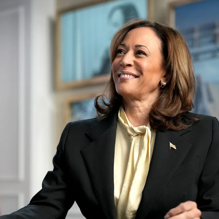 Prosecutor, defender of equal rights, final hope for Democrats: Who is the new presidential candidate Kamala Harris?