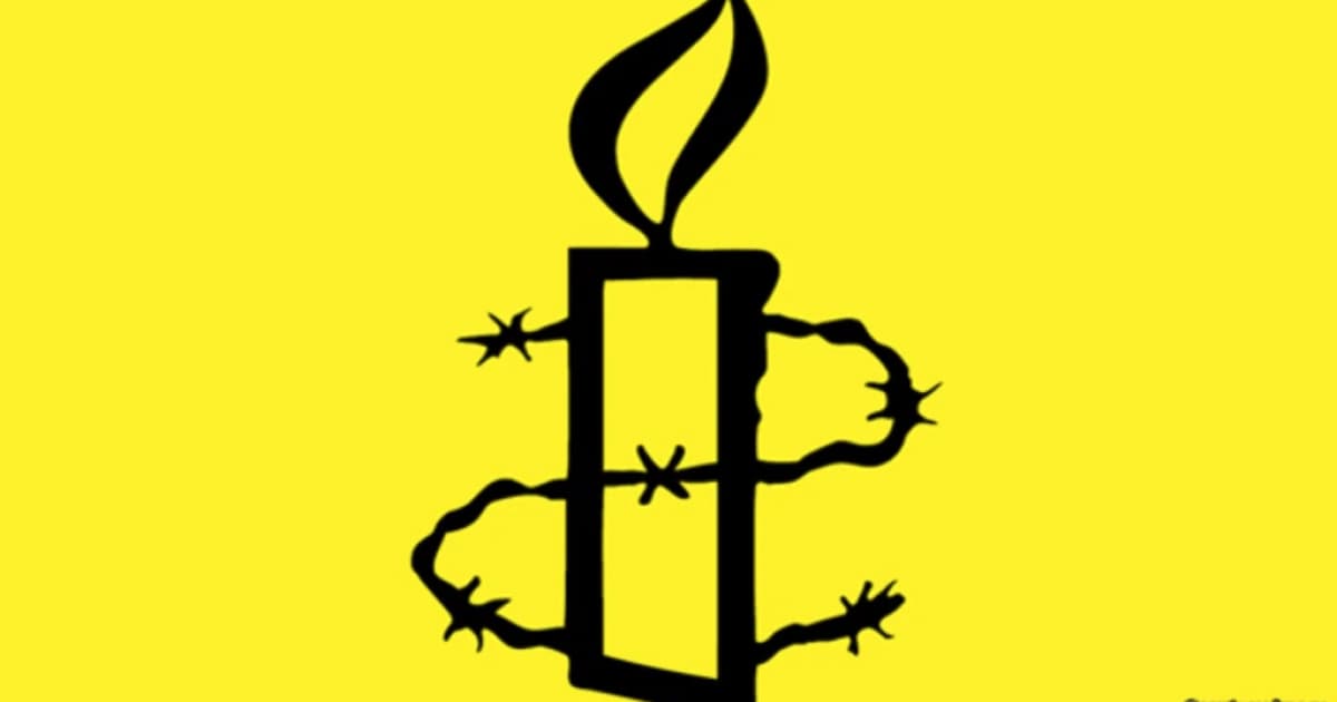 Міністр оборони Литви розкритикував звіт Amnesty International