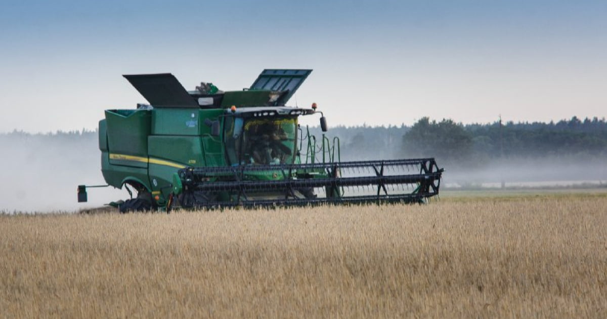 Аграрії в Україні вже зібрали понад 20 млн тонн зерна