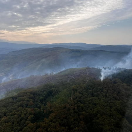 На Закарпатті третій день поспіль триває лісова пожежа