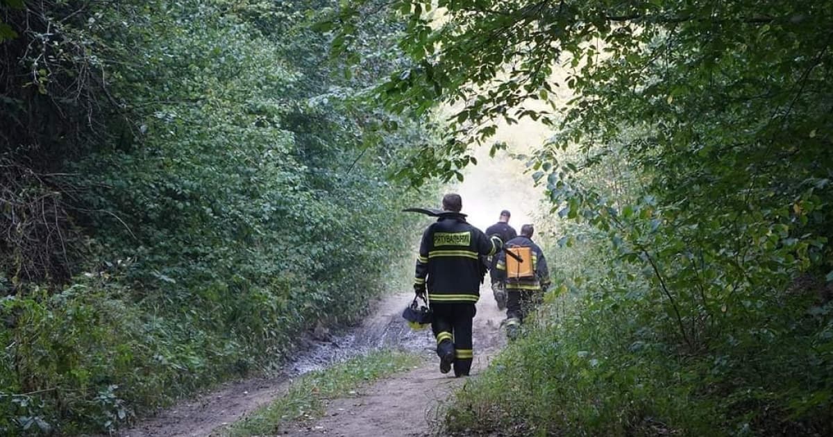На Закарпатті рятувальники ліквідували лісову пожежу