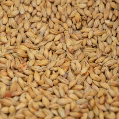 Правоохоронці повідомили про підозру так званому «меру» Енергодара, який віддав наказ вивезти українське зерно на майже 2 млрд грн